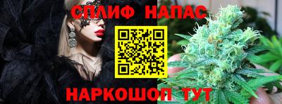 гидропоника Белореченск